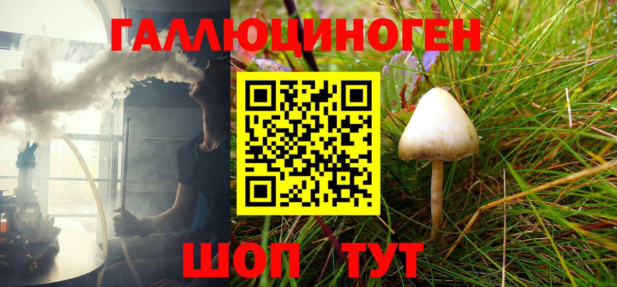 Галлюциногенные грибы Cubensis  Псилоцибиновые грибы мухоморы  Вход с VPN  Вятские Поляны 